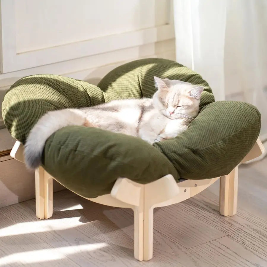 Elevated Cat Bed