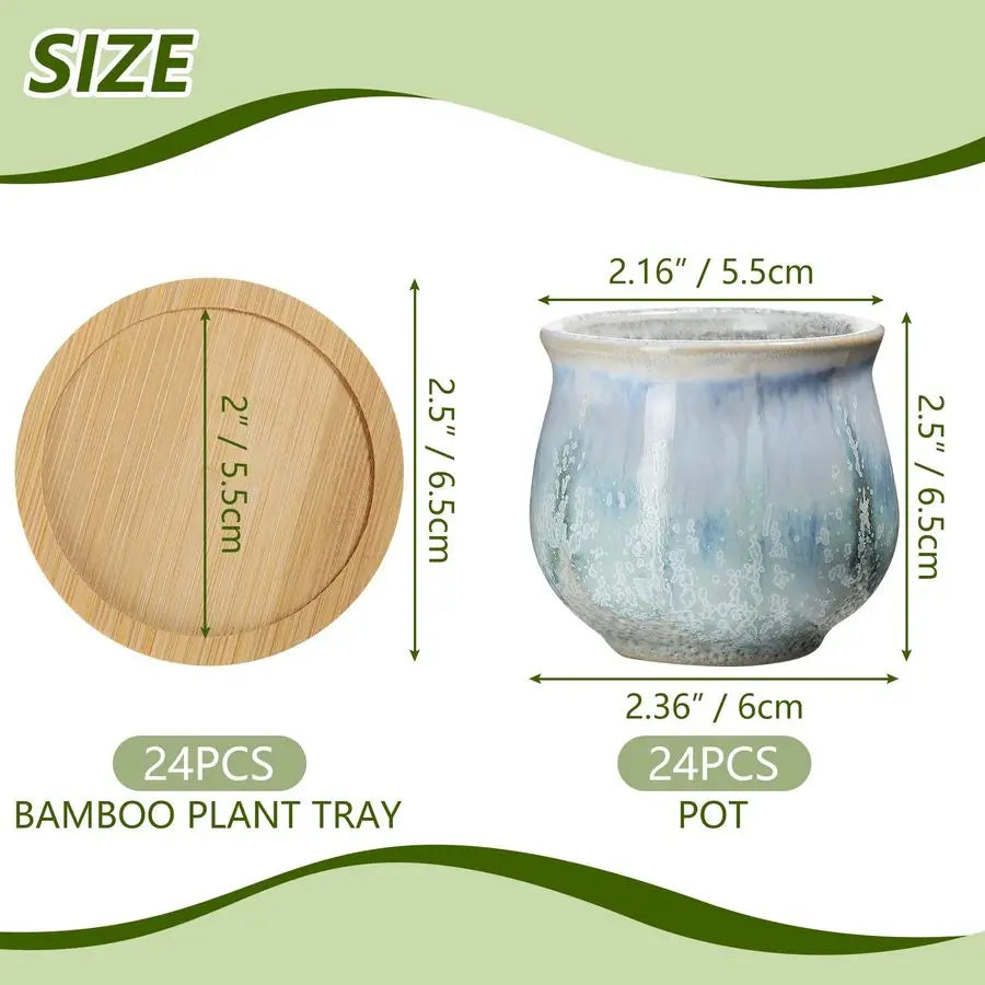 24 Pcs Small Succulent Pots