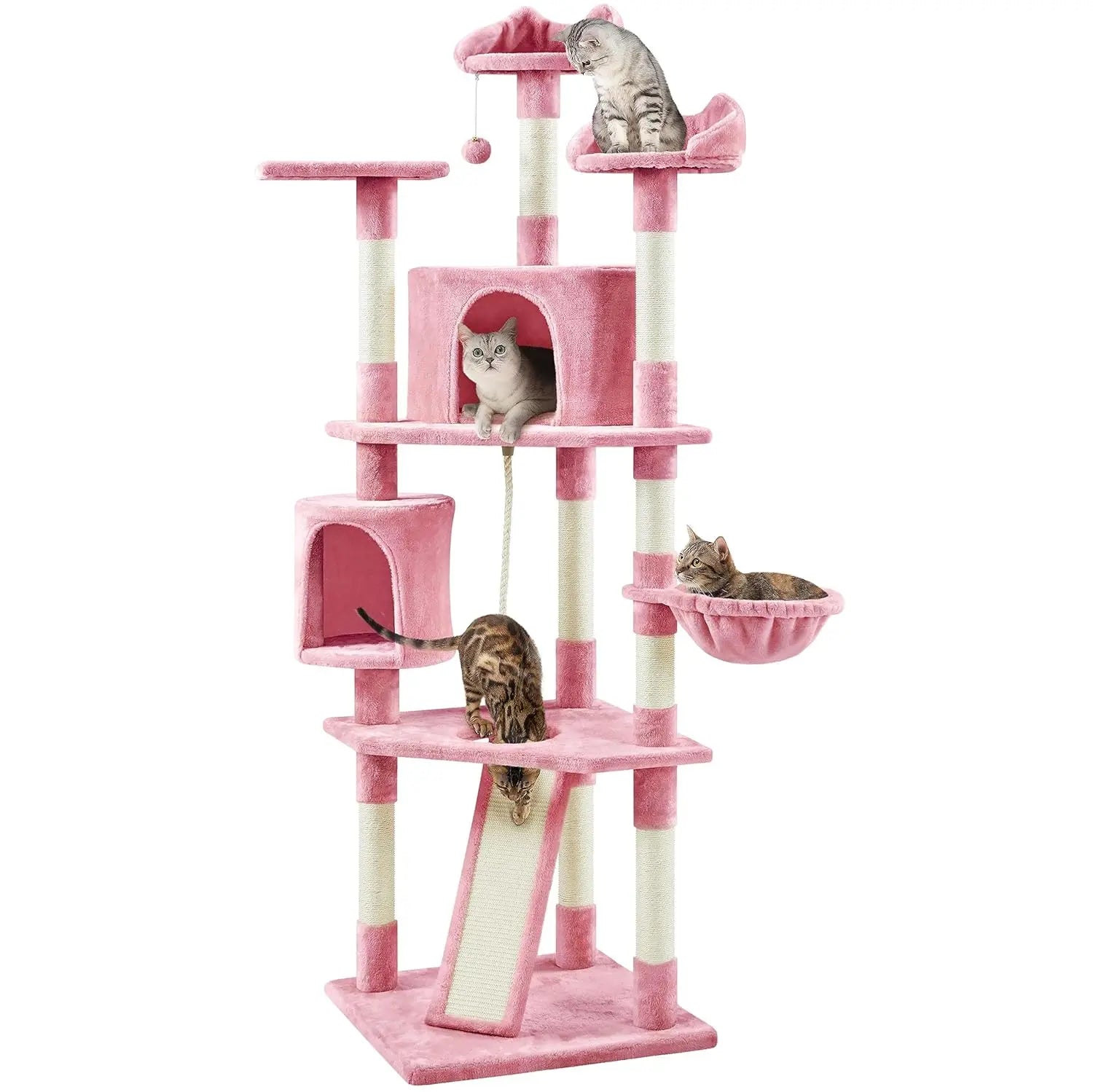 Multi-Level Cat Tree