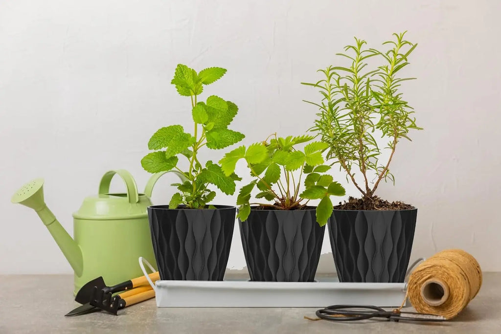 Plant Pots with Drainage & Trays, 6 Pack in Black