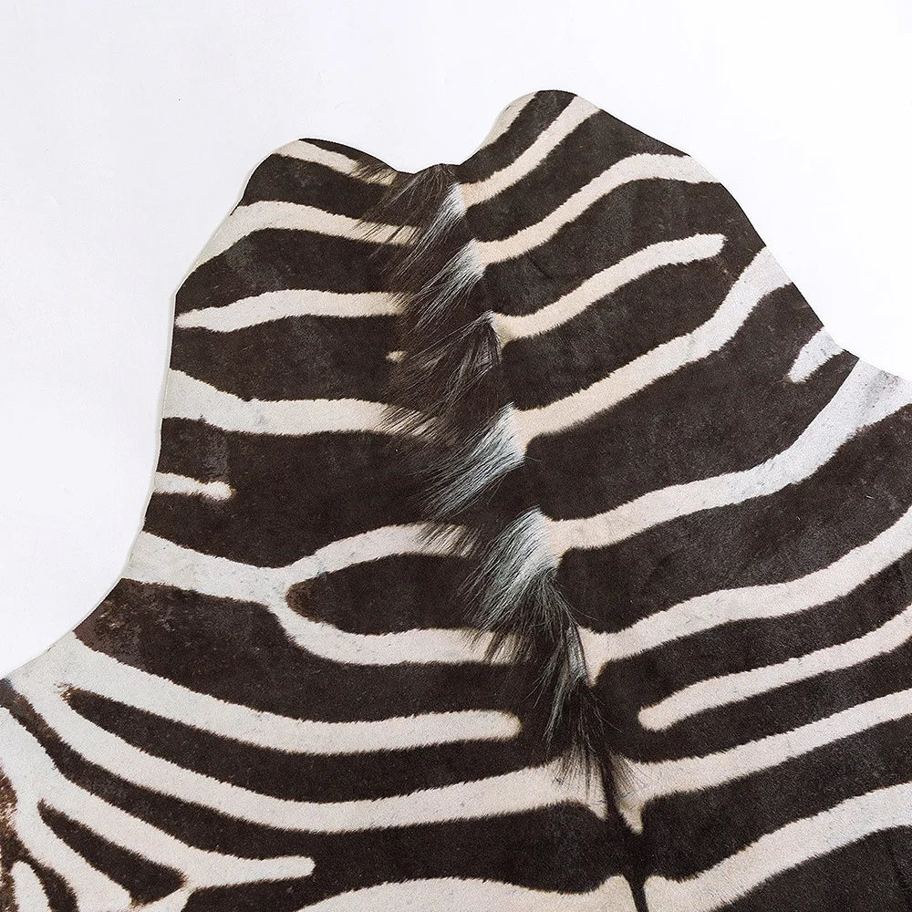 Zebra Print Area Rug