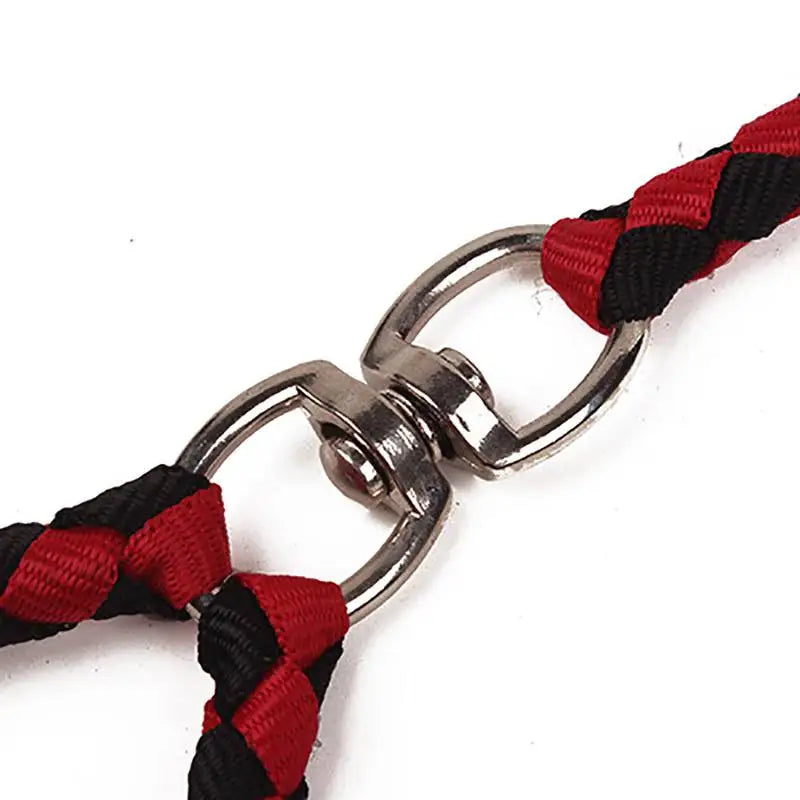 Pet Double Leash