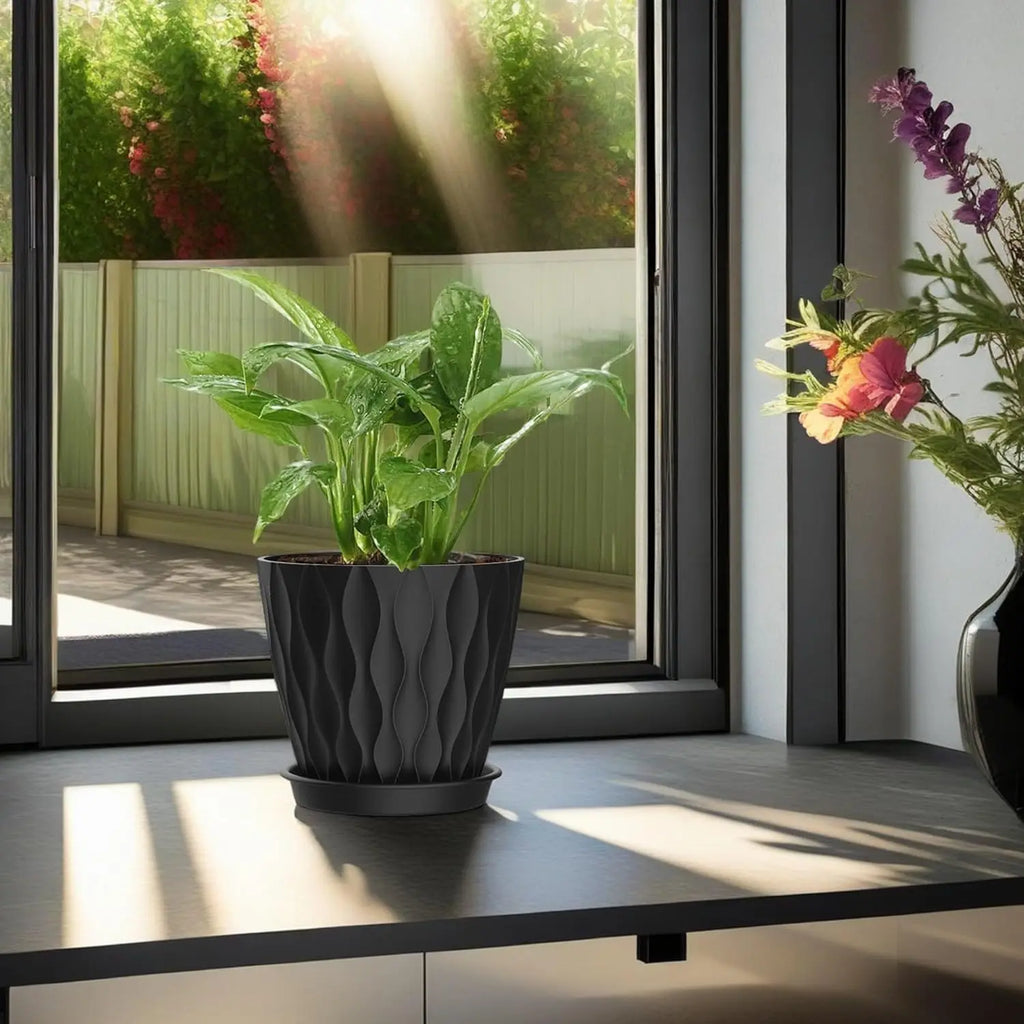 Plant Pots with Drainage & Trays, 6 Pack in Black