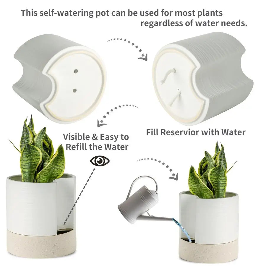 Self Watering Planter