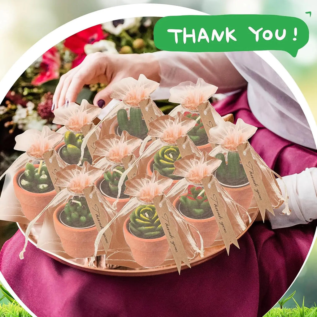 48 Pcs Terracotta Pots