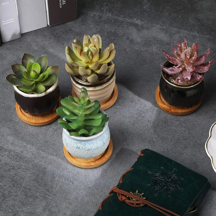 24 Pcs Small Succulent Pots
