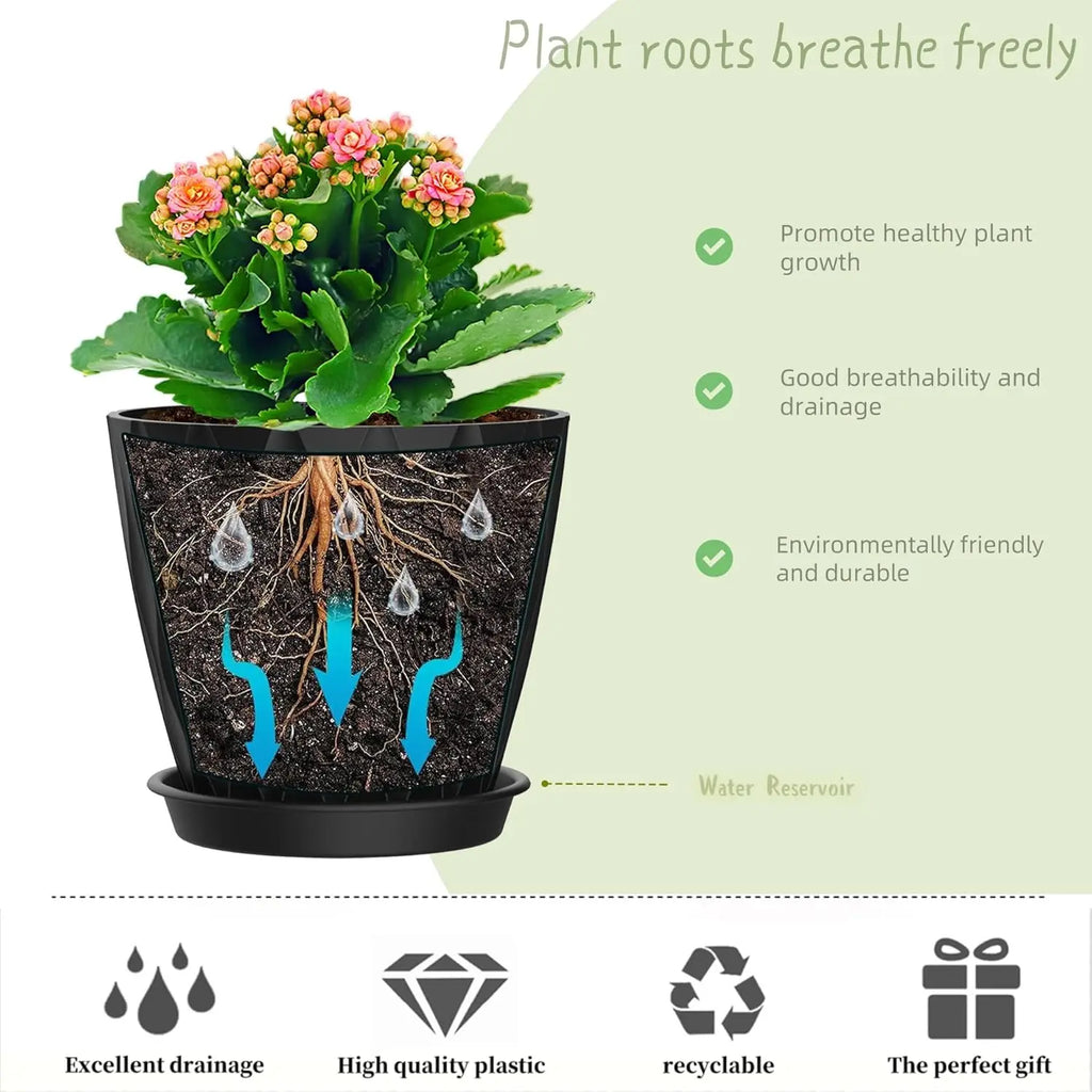 Plant Pots with Drainage & Trays, 6 Pack in Black