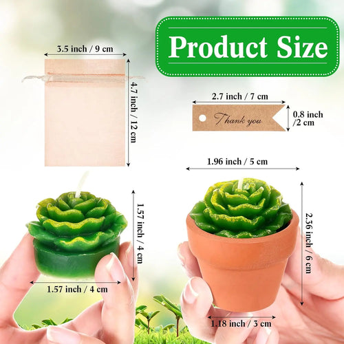 48 Pcs Terracotta Pots