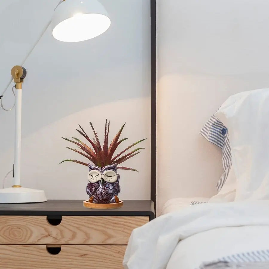 18 Pcs  Owl Ceramic Planters