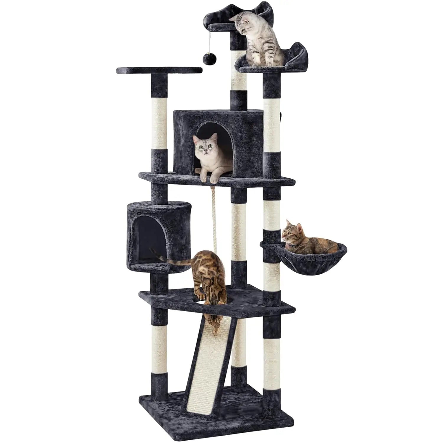 Multi-Level Cat Tree