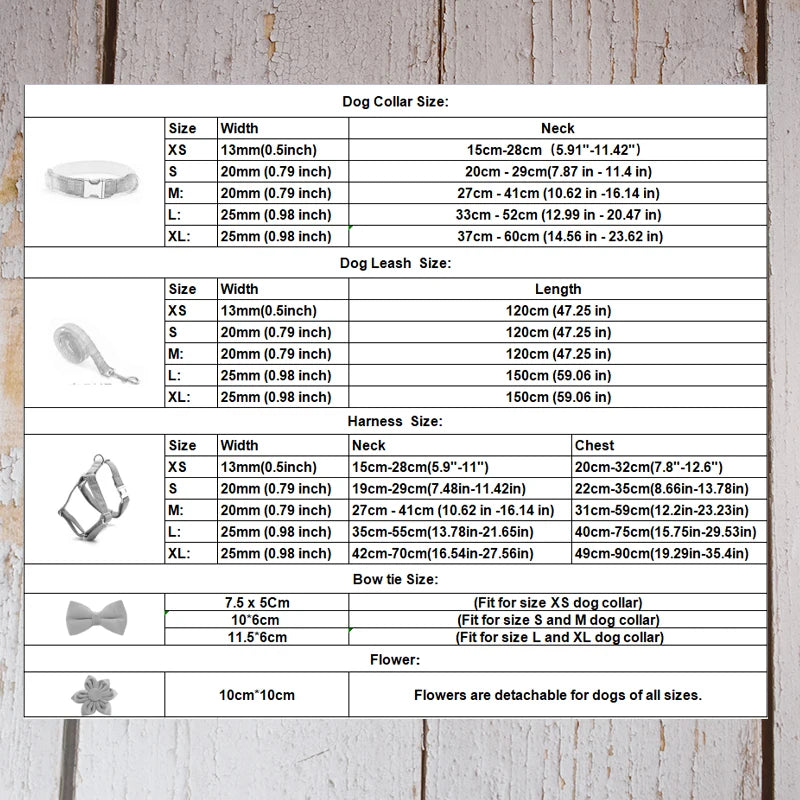 Dog Collar Harness