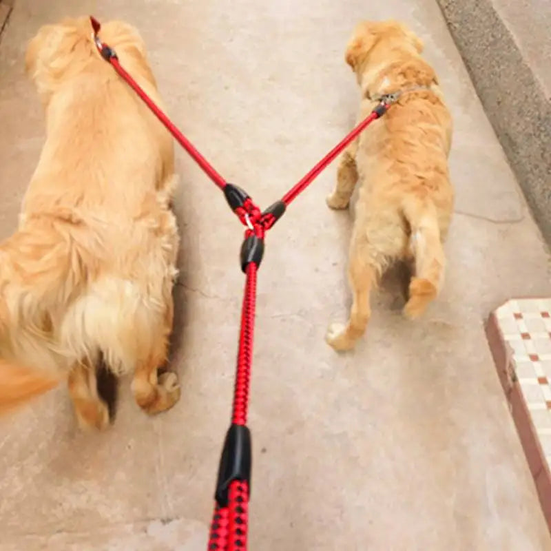 Pet Double Leash