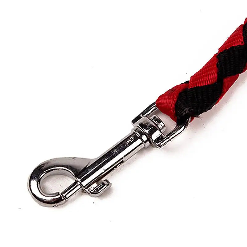 Pet Double Leash