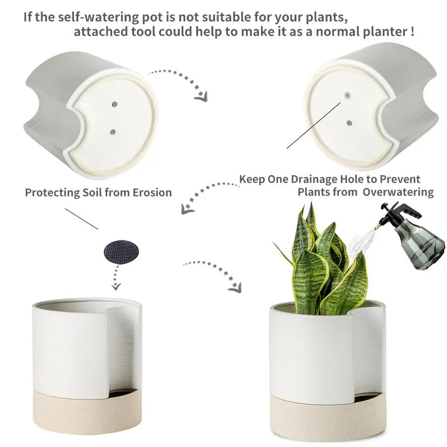 Self Watering Planter