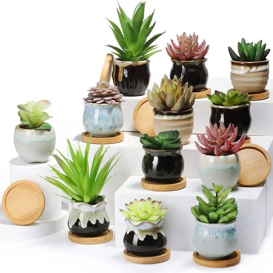 24 Pcs Small Succulent Pots