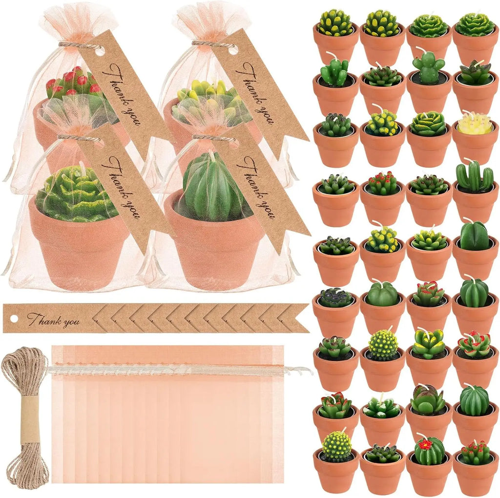48 Pcs Terracotta Pots
