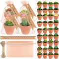 48 Pcs Terracotta Pots