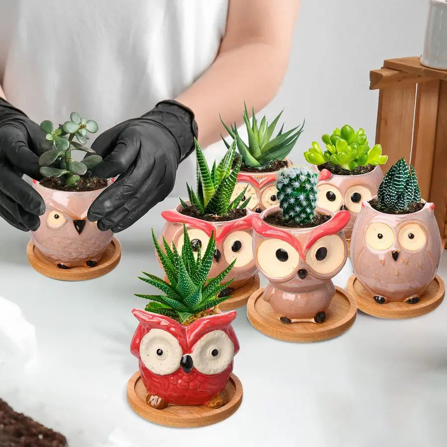 18 Pcs  Owl Ceramic Planters