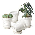 Ceramic Plant Pots