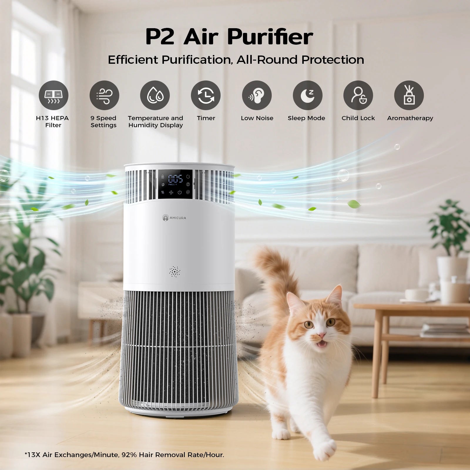 P2 Air Purifier