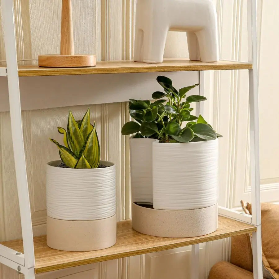 Self Watering Planter